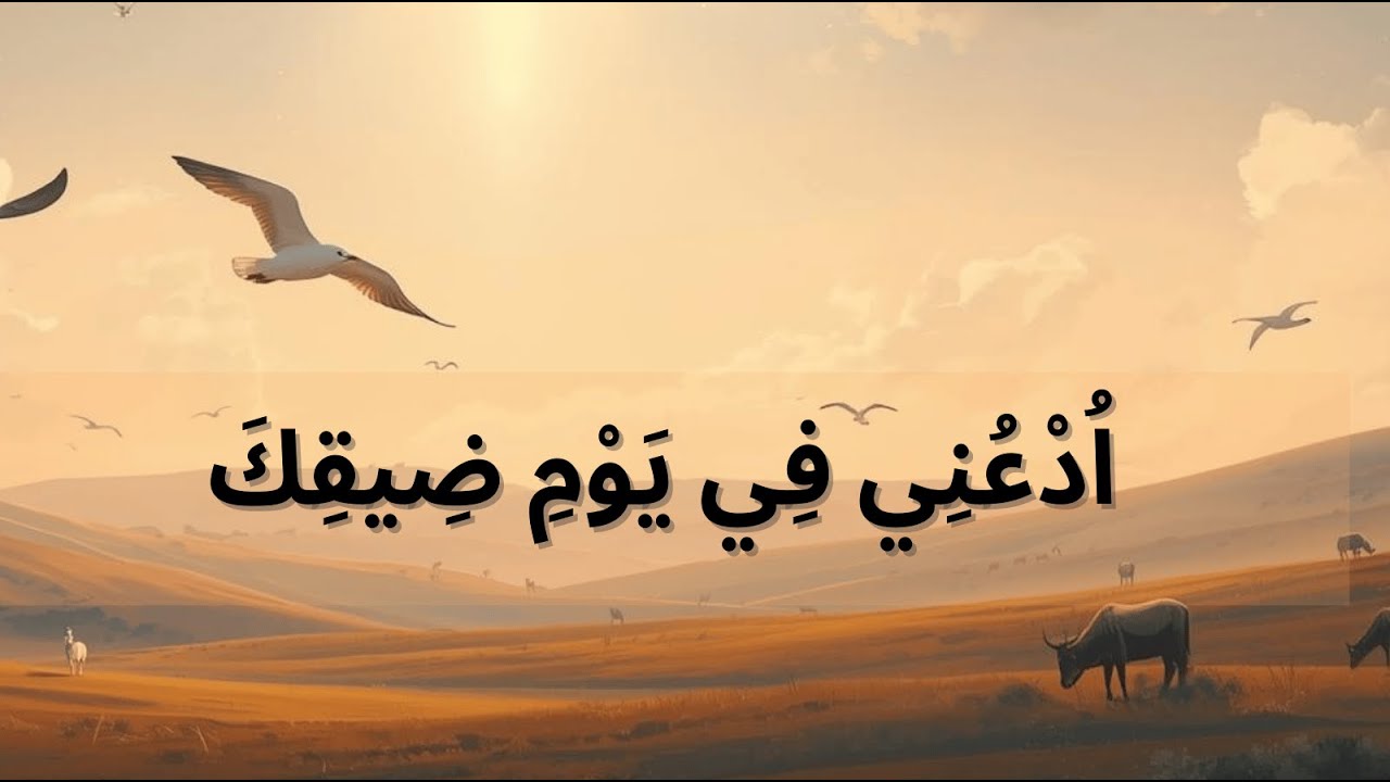فيديو تفسير الكتاب المقدس | الكتاب المقدس رفيقي