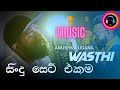 Wasthi - Anushka udana best songs collection