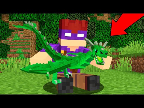 Bebê DRAGÃO ESMERALDA Nasceu no Minecraft!