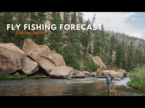 Trouts Fly Fishing Forecast | July 2nd Edition