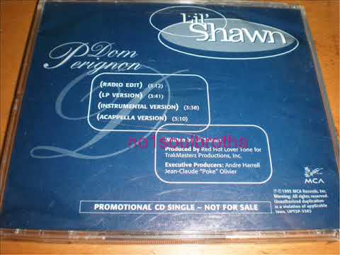 Lil' Shawn ft. The Notorious BIG "Dom Perignon" (LP Version) (90's Rap)