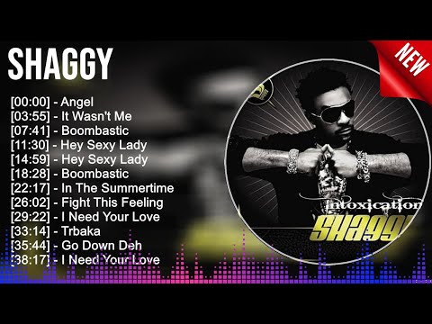 Shaggy Greatest Hits ~ Best Songs Of 80s 90s Old Music Hits Collection