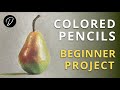 COLOURED PENCILS - Lesson & Project for Beginners