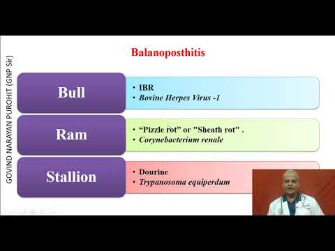 Infertility in male animals Impotentia Coeundi I Veterinary Andrology I VGO Unit3 I GNP Sir