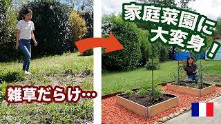 【庭DIY】雑草だらけの庭に家庭菜園を作ったらこんなに変わった!