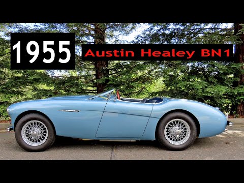 1955 Austin-Healey 100 (CC-1630072) for sale in Sonoma, California