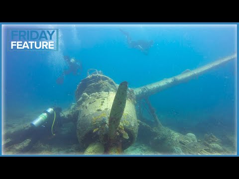 10 Mistakes That Newbie Divers Make | Friday Feature