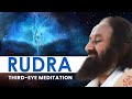 Rudra Third Eye Meditation Gurudev