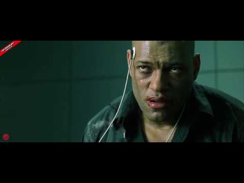 The Matrix - "Human beings are a disease, a cancer of this planet."