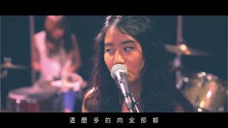 [問卦] 艾黛兒是台灣家家嗎？