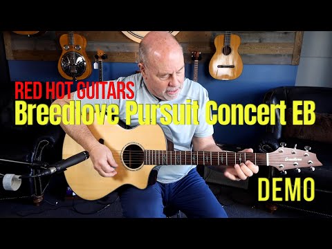 Breedlove Pursuit Concert Ebony Cutaway Acoustic/Electric Guitar Gloss Natural (VIDEO DEMO) image 11