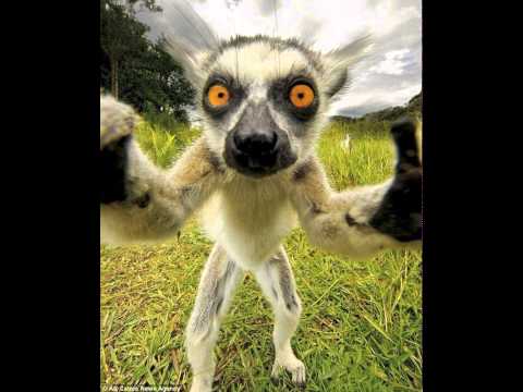 HypoGeo - Anti-Muzak