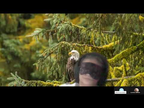 HIPNOZA REGRESIVA.RO-2084.Lorena,Vieti de plata karma,Recup.en.furate. E LASCU coord si ELA.