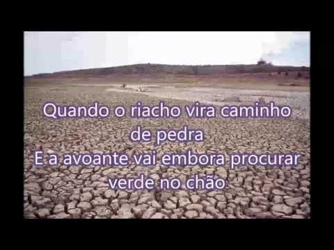 Avoante video