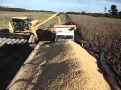 Setor Primário esta sendo alavancado em Espigão