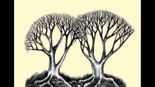 Paper Aeroplanes - Same Mistakes