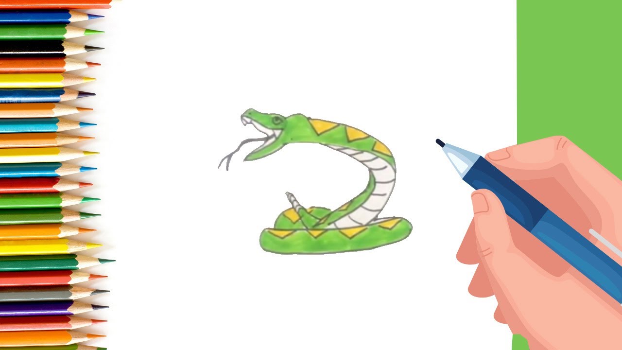 How to draw Rattle Snake