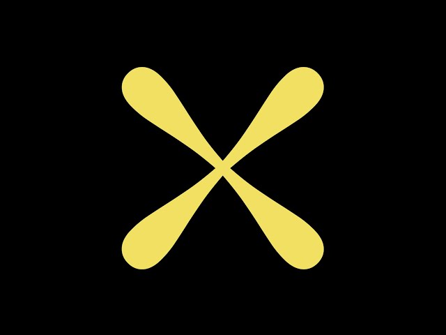 Conférence: «Consentement libre et éclairé et stérilisations imposées de femmes -Premières Nations- Inuit- Québec»