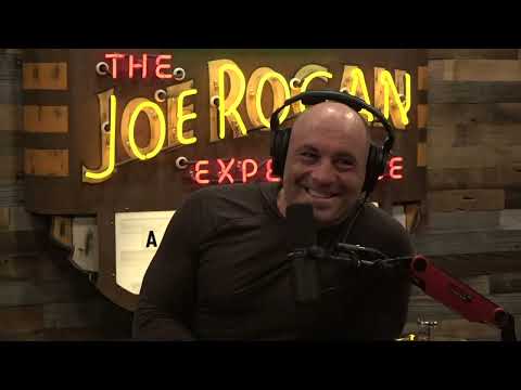 Joe Rogan Experience #1822 - Chris DiStefano