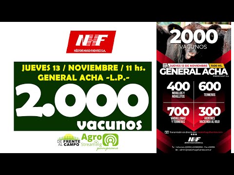 en VIVO - 11 hs. - REMATE de NÉSTOR HUGO FUENTES S.A. - JUE. 13 / NOV. / 2025 - GRAL. ACHA -L.P.-