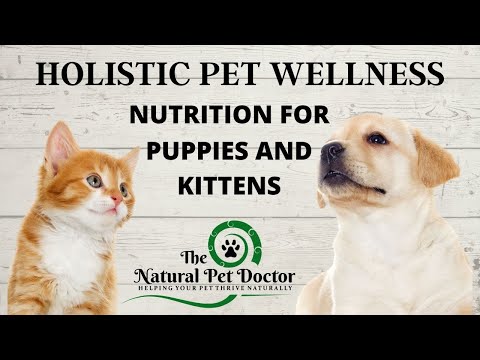 Optimal Pet Nutrition for Puppies and Kittens with The Natural Pet Doctor