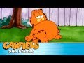 The Garfield Workout Garfield Friends ️