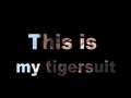 Raein - Tigersuit 