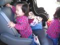 Seatbelt Full Of Fun