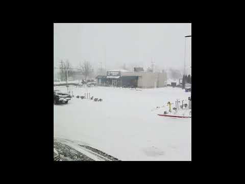 Snow Blows in Bellingham as Snowfall Sweeps Washington Coast