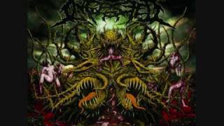 Ingested - Anal Evisceration