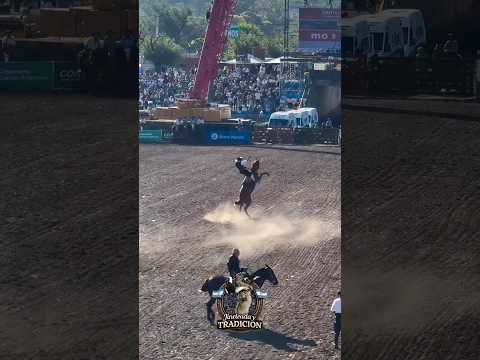 Jesus María 2026 🇦🇷 #jineteadadecaballos #jinete #horse #jesusmaria #caballos