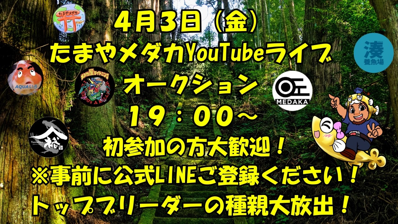 ４月３日（金）ライブオークション