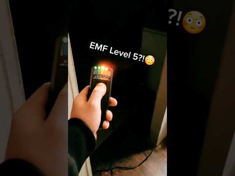 Would you Play Phasmophobia IRL?!