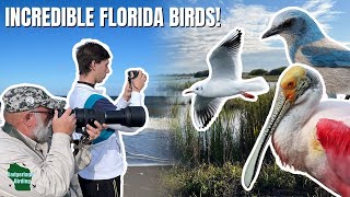 Experience the Space Coast Birding and Wildlife Festival! The BIGGEST Birding Event in Florida