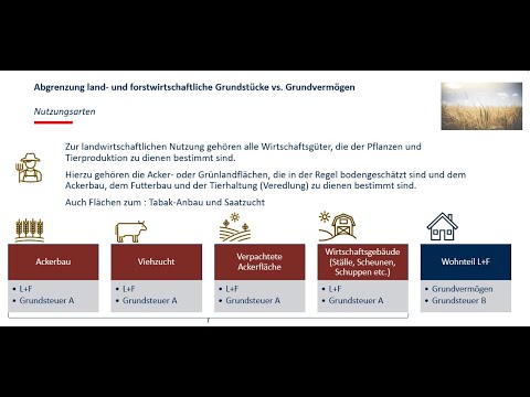 Delimitation of agricultural and forestry areas from real estate in property tax