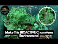 Make This Chameleon Bioactive Environment!