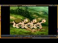 Opening To The Land Before Time 6 2003 DVD 2017 Re Print