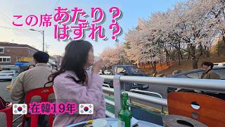 【韓国Vlog】2026年最新！桜の下で特等席のはずが…？強制撤去に1時間半待ち、カオスすぎる韓国のお花見が最高だった休日。