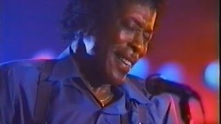 Buddy Guy - Rare Film Short!! "The Blue Jay" 1988 (hq stereo)