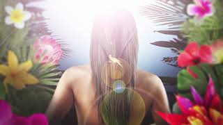 Jukka Poika - Paratiisilintu