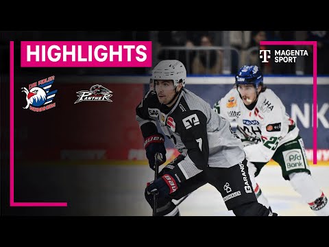 Adler Mannheim - Augsburger Panther | PENNY DEL | MAGENTA SPORT