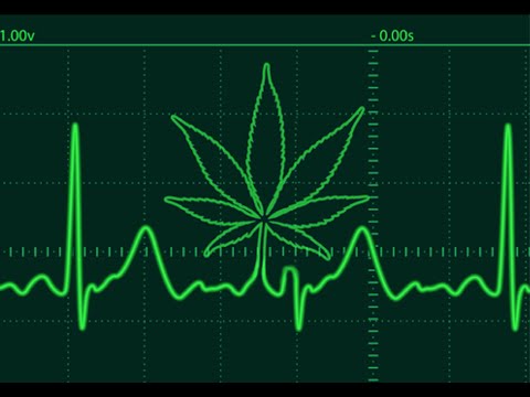 Puffin'Soldier (VodKilaZ Mix)