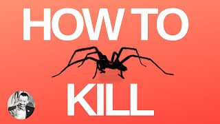 How to Kill A Spider with 2 Everyday Household Items - Marshall Edgar