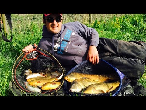 Float Fishing The Traditional Waggler - Fun Session!