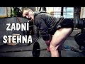 PŘEDKLONY S TYČÍ O ZEĎ | CVIK NA ZADNÍ STEHNA/HAMSTRINGY