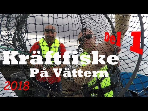 Kräftfiske på Vättern med förhinder 2018 med vår Ryds Camping