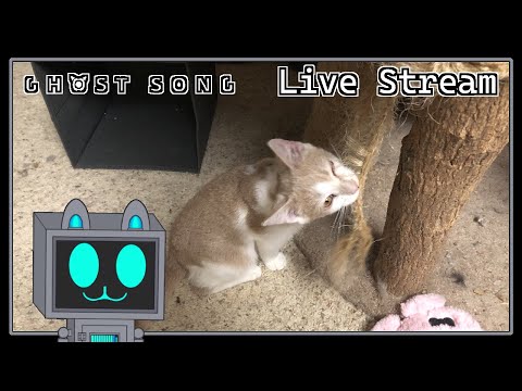 Song Of Ghost Cats | Ghost Song with the Cats