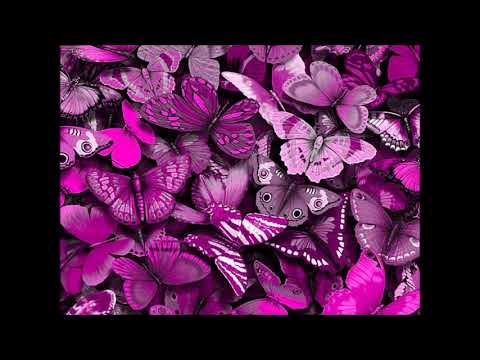 AlmenDra DelPilar- EstremeSiendo