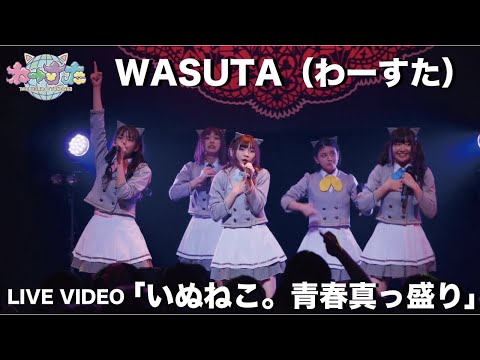 わーすた（WASUTA）「いぬねこ。青春真っ盛り」（Inu Neko Seishunmassakari）Live Video