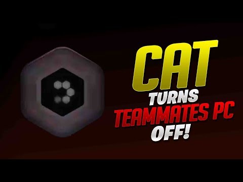 Dafran's Teammate's Cat Turns His PC Off! - Overwatch